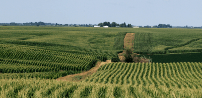 iowa-corn