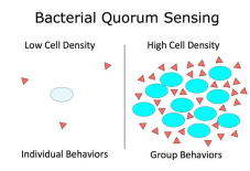 Screen Shot 2019-04-13 at 12.57.09 PM